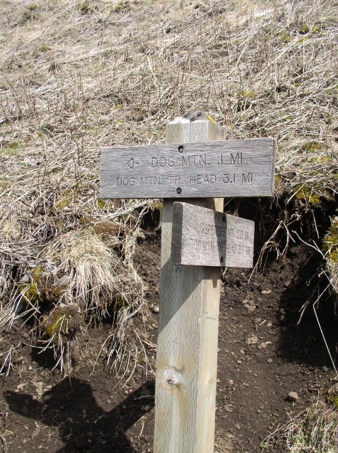 3.24.06 Dog Mountain 036 